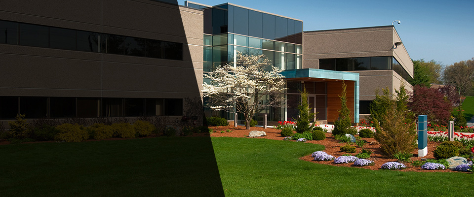 Paso Robles Landscapers