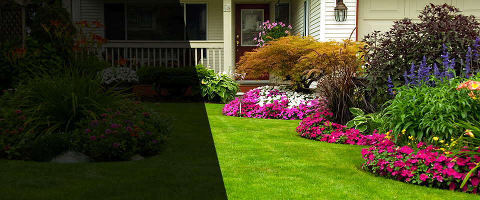 Paso Robles Landscapers