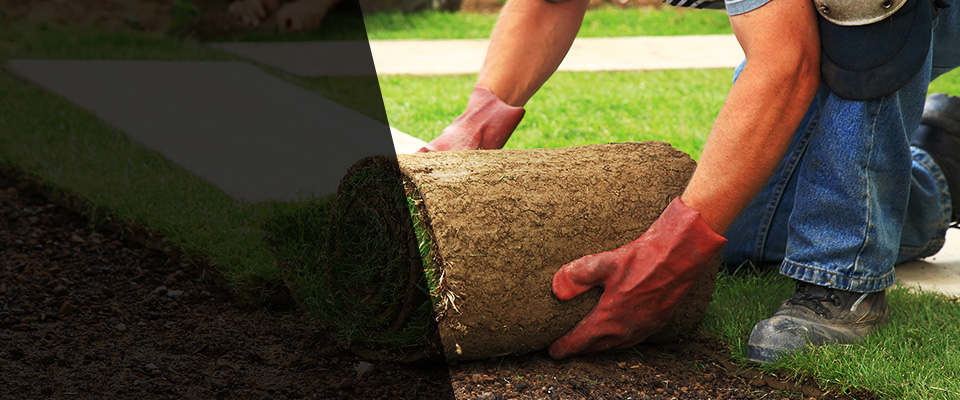Paso Robles Landscapers
